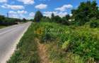 🌳 🌞🌿 TEREN INTRAVILAN  2800 mp - 30 Euro/mp  - RATE LA  NOTARIAT  ! 🌳🌞🌿 - 6