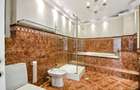 Vila cu arhitectura deosebita, adiacent Bd-ului  Lascar Catargiu, refacuta - 15