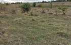 Teren 350 mp, Borhanci! - 1