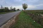 LIVADA  DE VANZARE FOCSANI-DUMBRAVITA  1,8  HA - 36