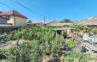 Teren 371 mp curti constructii+casa 5 camere si anexe, zona Izvoare - 23