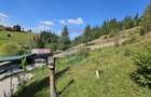 Casă / Vilă de vacanta in Dorna Arini, Suceava - 52