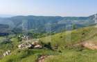 Teren extravilan pentru cabana, 3800 mp, zona-Ramet Transapuseana - 1