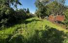 Doua case de vanzare 75 M² + curte 720 M² Piata Kalvin - 16