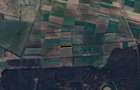 Teren 18.000 mp in Giroc - 2