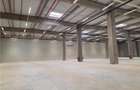 Spatiu Industrial - 2500 mp - Logistica - Productie - Depozitare - Distributie - 8