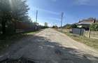 Teren 5216 mp la drum principal com. Ratesti - 9