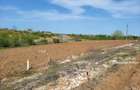 Intravilan vedere la lacul Snagov zona de vile noi - 10