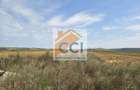 Teren intravilan– 50.000 mp, Bacău, Șoseaua Hol - 4
