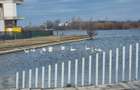Casă contemporană lângă natură , spațiu generos și liniște aproape de Bucuresti - 5