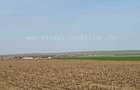 Vânzare teren agricol comasat plus microferma direct la sosea - 6