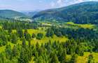 Natură— 18.900 mp în Săcele, cu râu și priveliște montană - 9