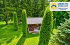 Cabană de Vânzare în Tarcău – Natură, Relaxare și Pescuit la Poartă! - 9