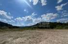 TEREN INTRAVILAN 2,26 HA | SUCEVITA | - 2