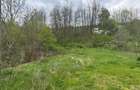 Imobil comercial/turistic S+P+2 - oportunitate investitie Muereasca ( Valcea)  - 8