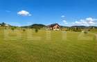 Teren intravilan de vânzare – 660 mp | PUZ aprobat | Toate utilitățile în zonă - 7