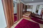 Apartament cu o camera 50mp gradina parcare zona Terezian - 7
