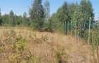 Vanzare parcele de teren 862mp / 1740mp pe Valea Avrigului, Județul Sibiu - 6