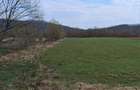 Teren în Romita – Front la drum județean și aproape de autostradă! - 1