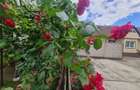 Poveste saseasca la umbra vitei de vie,cu crama,gradina flori,Central,Codlea - 14
