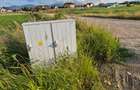 Teren 10.000 mp str. Lalelelor, Bod, Brasov pentru case - 5