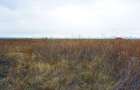Teren Intravilan - Brasov - Acces Facil - 3