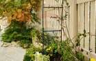 Vilă unicat în Borhanci – atmosferă de vacanță, apartament independent - 20