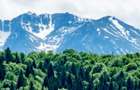 Teren superb Poiana Brasov - 4