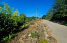 Teren intravilan 2322 mp, Păcuri – vedere superbă spre pădure! - 3