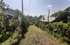 Oras Baicoi casa 90mp ,teren 1750 mp - 5