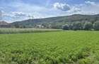 Teren intravilan 2.000 mp front 36ml Popesti Vale - 1
