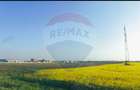 Teren comercial 5 ha, PUZ aprobat, acces direct Centura Nord Arad - 11