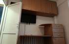 Teiul Doamnei-Parcul Tei, Apartament 2 camere - 4