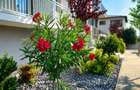 ASTORIA RESIDENCE Apartament 2 camere 46 mp+ curte 41  m  Lunca Cetatuii 2028 - 5