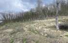Teren intravilan, S= 1400 mp, Stefanesti, Arges - idealimob.ro - 2