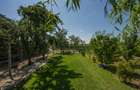 RACARI - DAMBOVITA, CASA PE PARTER 85 MP, LOT 2200 MP! - 18