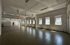 Spatii comerciale birouri Calea Chisinaului Leroy de la 67mp la 500mp - 10