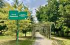 Apartament 2 camere,  elegant si spațios, zona Soarelui - Parcul Lidia - 20