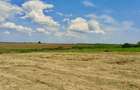 Teren Butimanu cu deschidere la lac - 3