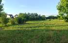 Teren parcelabil, intravilan, 6400mp cu casa renovata - ideal investitor  - 14