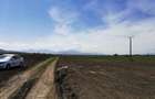 TEREN AGRICOL DE VANZARE - BOD - BRASOV 4,5 HA - 1