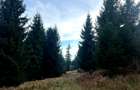 Vanzare 5,3 ha păsune deasupra Voronețului Suceava - Proiect Turistic - 7