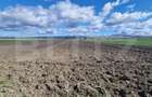 Teren Extravilan 15000 mp- parcelat in 3 loturi Bod- 5000 mp fiecare parcela - 5