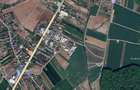 Teren 6900 m² de vanzare in Ciolpani - 1