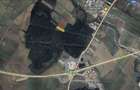 Proprietar vând teren 4.800 mp Jilava, rezidențial, acces DN5 - 1