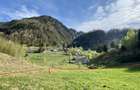 Teren panoramic însorit, utilități, panta mica si pădure, turism sau vacanță - 5