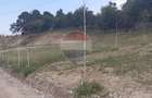 Teren 1,000mp Sohodol, cu utilitati / Strada Sohodol - 15