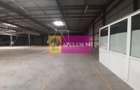 Spatiu Logistic langa Bucuresti Hala 5000 mp - 23