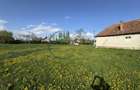 Teren 9500 mp plus Casa plus Anexe Gospodaresti - 6