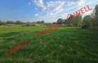De vânzare teren extravilan în Floroaia Mare, Întorsura Buzăului! - 9